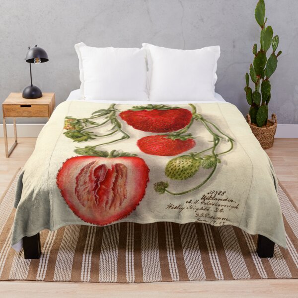 Item preview, Fragaria Outlander Wild Strawberries Botanical Illustration designed and sold by Glimmersmith.