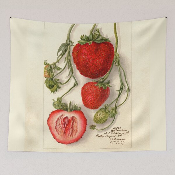 Item preview, Fragaria Outlander Wild Strawberries Botanical Illustration designed and sold by Glimmersmith.