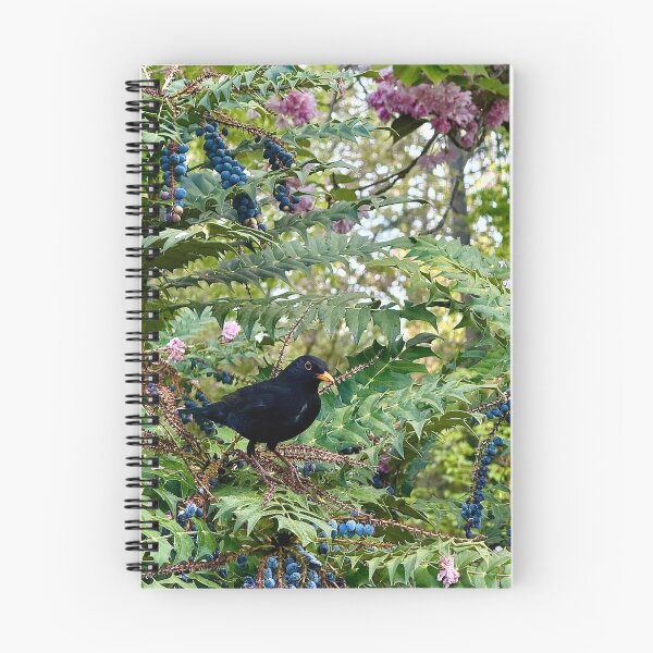 Item preview, London Blackbird in Berries and Blossom designed and sold by The Running London Photographer.