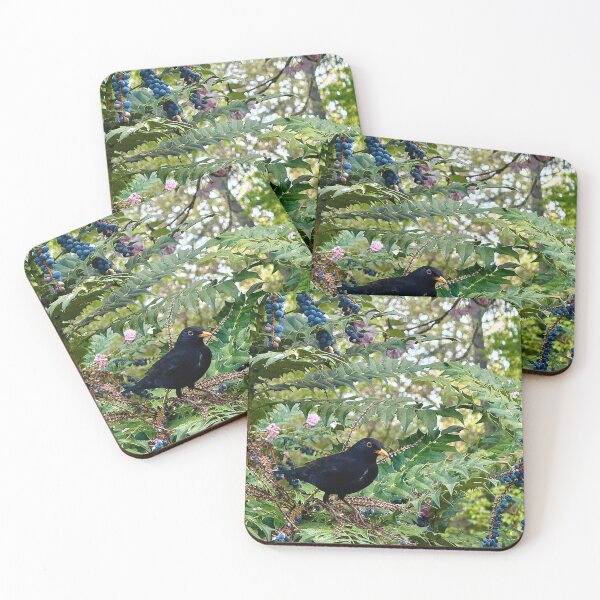 Item preview, London Blackbird in Berries and Blossom designed and sold by The Running London Photographer.
