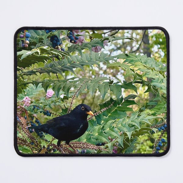 Item preview, London Blackbird in Berries and Blossom designed and sold by The Running London Photographer.
