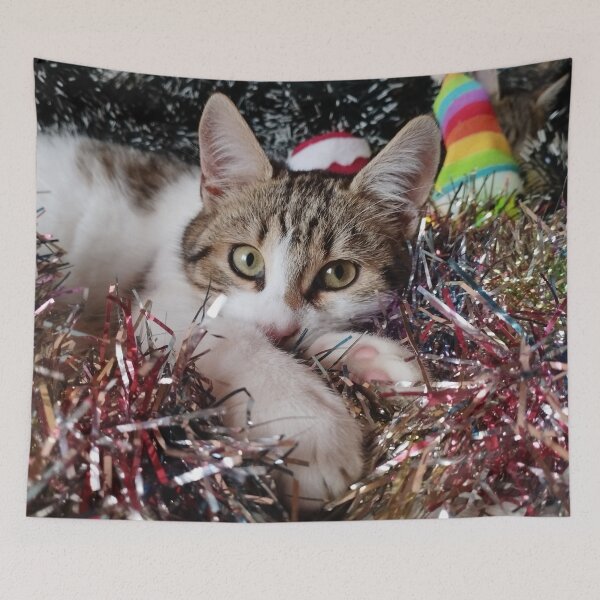 Item preview, Kitten among Christmas decorations. Holiday Kitten. designed and sold by inspiration3.