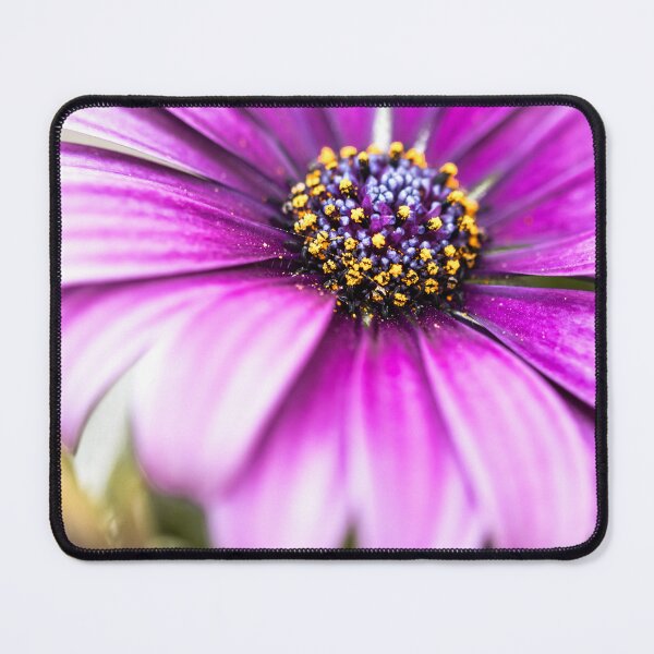 Artikelvorschau, Vibrant Purple Bloom entworfen und verkauft von little_macro_love.