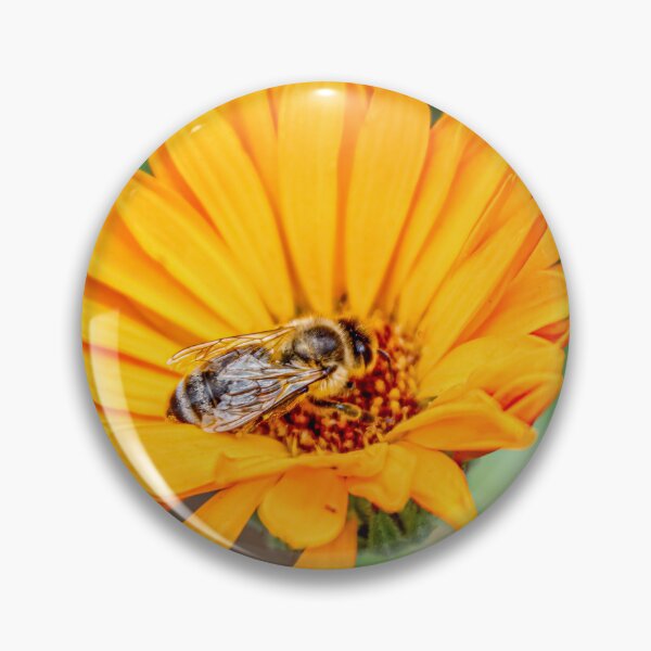 Artikelvorschau, Bee on Golden Bloom entworfen und verkauft von little_macro_love.