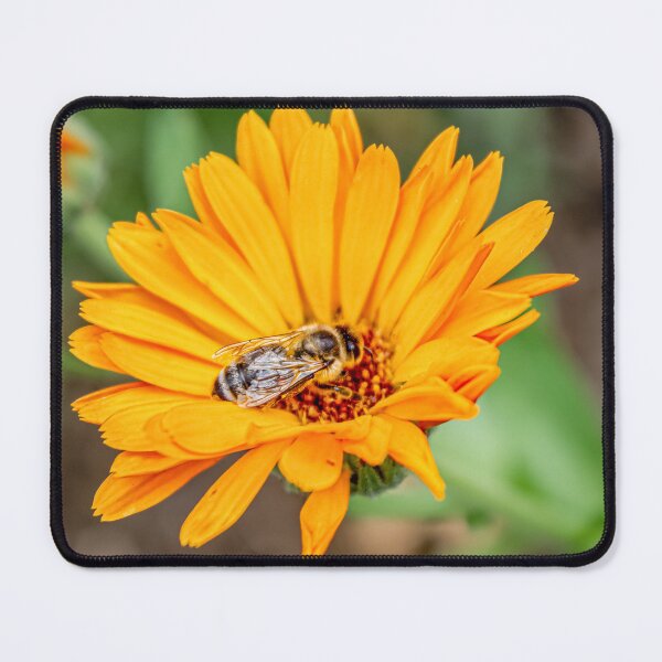 Item preview, Bee on Golden Bloom designed and sold by little_macro_love.