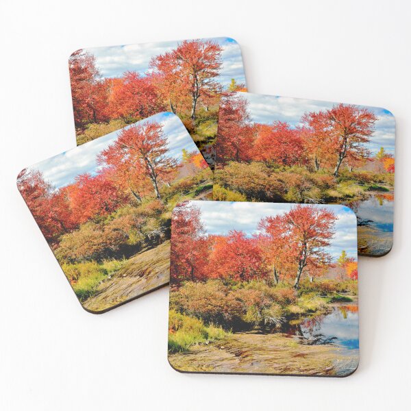 Item preview, Pennsylvania Stream in Autumn, Pocono Mountains designed and sold by AMacGPhilly.