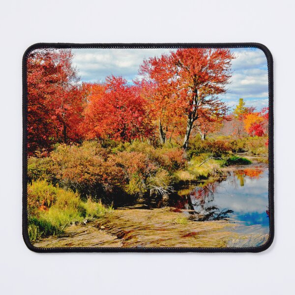 Item preview, Pennsylvania Stream in Autumn, Pocono Mountains designed and sold by AMacGPhilly.