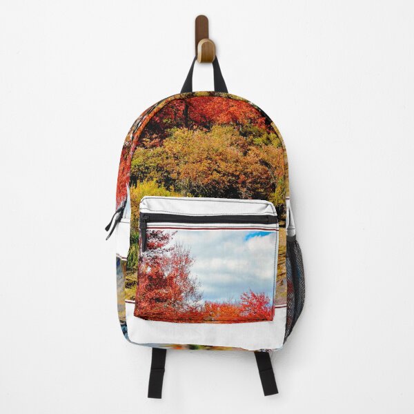 Item preview, Pennsylvania Stream in Autumn, Pocono Mountains designed and sold by AMacGPhilly.