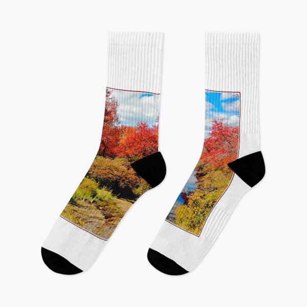 Item preview, Pennsylvania Stream in Autumn, Pocono Mountains designed and sold by AMacGPhilly.