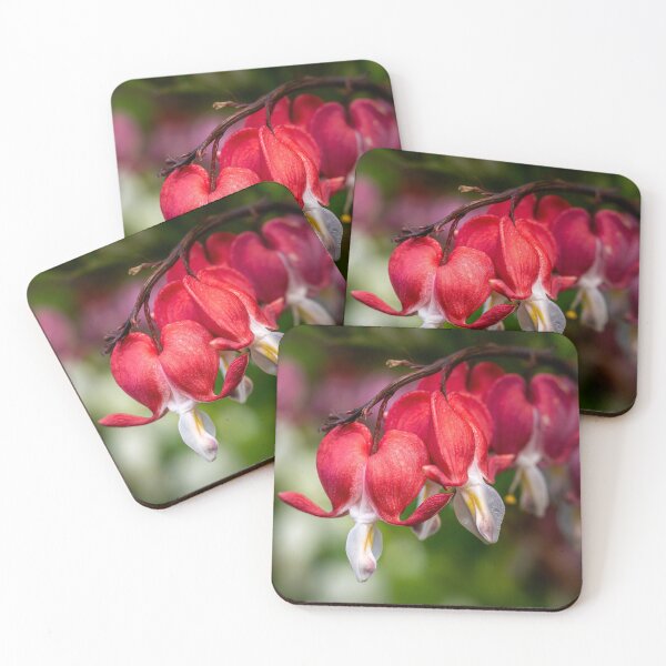 Item preview, Open Hearts — Bleeding Heart Flowers in Full Bloom designed and sold by Rabee Khalil Photography.