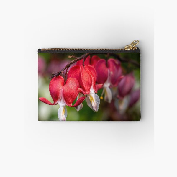 Item preview, Open Hearts — Bleeding Heart Flowers in Full Bloom designed and sold by Rabee Khalil Photography.