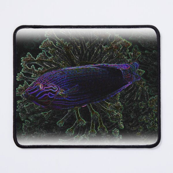 Item preview, Curious designed and sold by AuraMarine.
