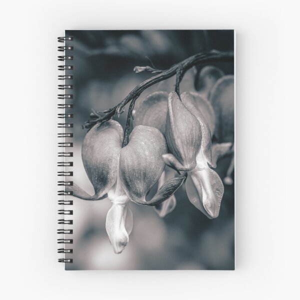 Item preview, Unveiled — Open Bleeding Heart Flowers in Black and White designed and sold by Rabee Khalil Photography.