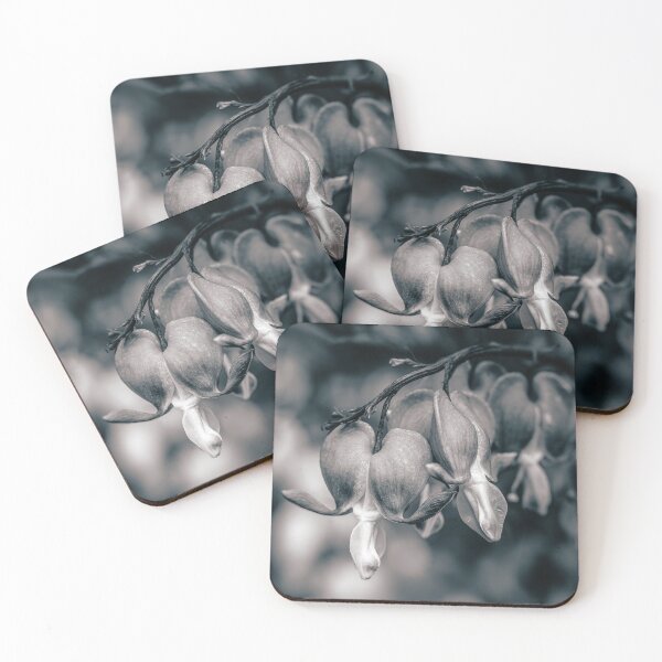 Item preview, Unveiled — Open Bleeding Heart Flowers in Black and White designed and sold by Rabee Khalil Photography.