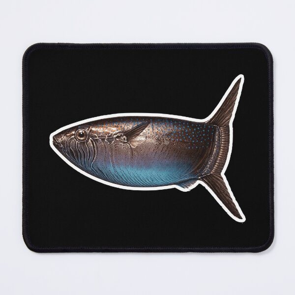 Item preview, Slender Sunfish (Ranzania laevis) designed and sold by HistoryRepeats.