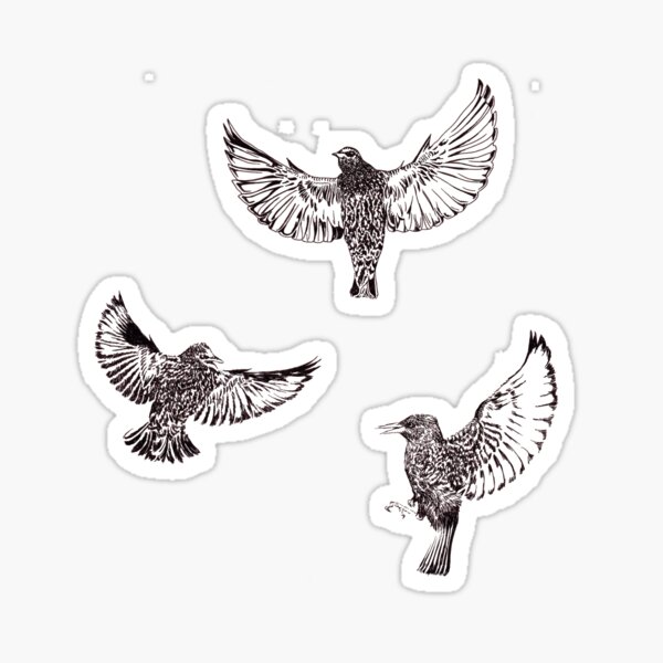 three little birds  Sticker