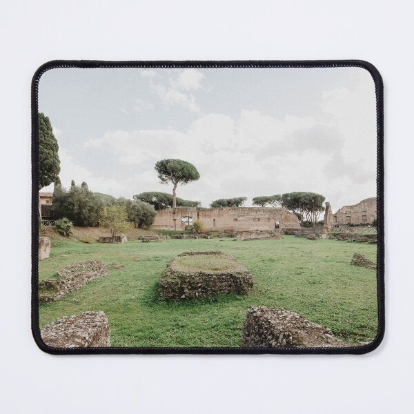 Item preview, palatine stadium designed and sold by LindsayVTravels.