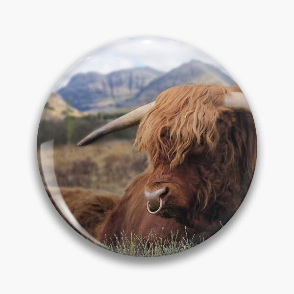 Item preview, Highland Cattle in Glen Coe designed and sold by Murph's Images.