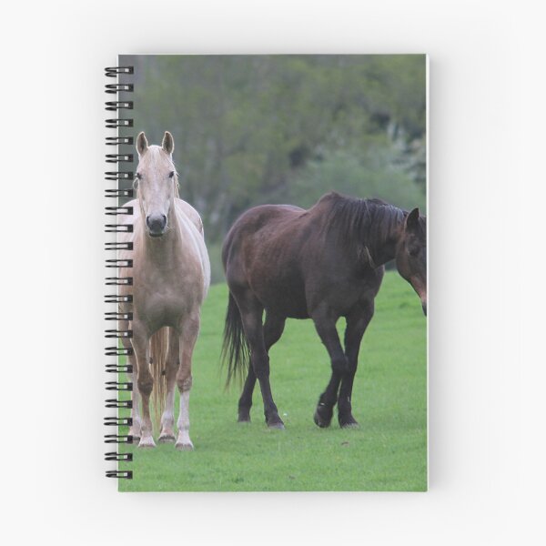 Item preview, mixed double designed and sold by Murph's Images.