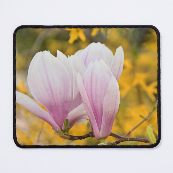 Item preview, Magnolias # 2 designed and sold by Poete100.