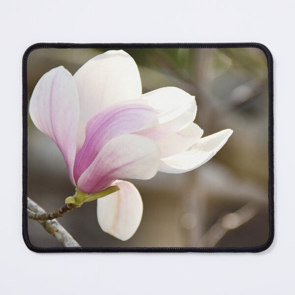 Item preview, Magnolia # 1  designed and sold by Poete100.