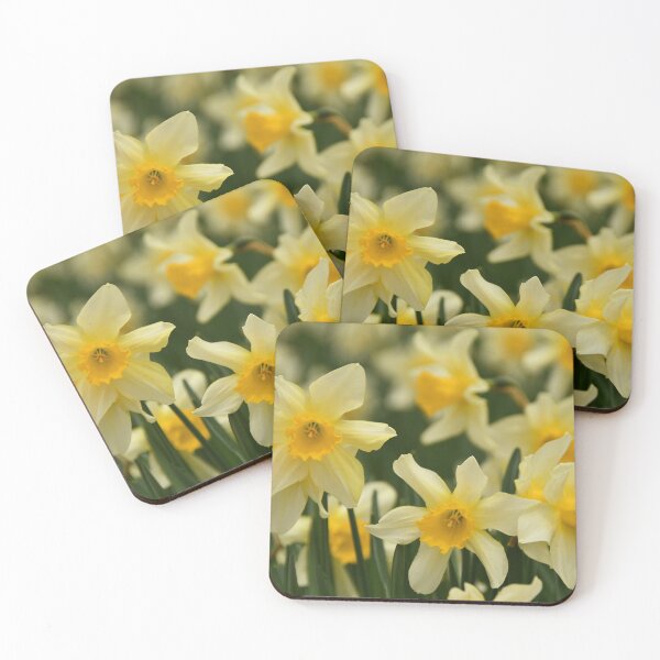 Item preview, Daffodils (Pale Yellow)  designed and sold by Poete100.