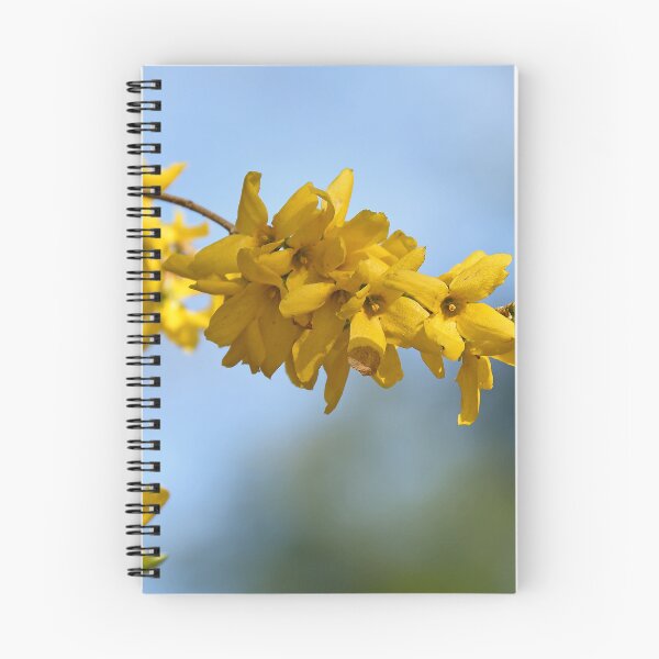 Item preview, Forsythia designed and sold by Poete100.