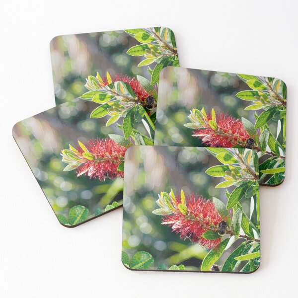 Item preview, Sun-Drenched Bottlebrush Study designed and sold by Robinsonlerouge.