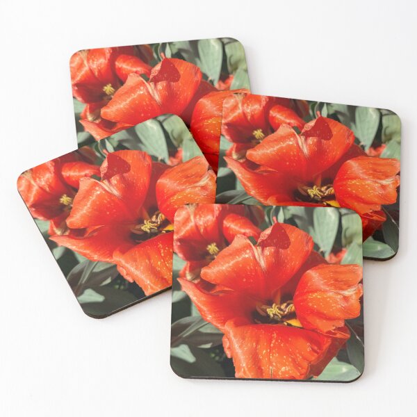 Aperçu de l'œuvre Le meilleur moment pour admirer les tulipes créée et vendue par nicollejanine.