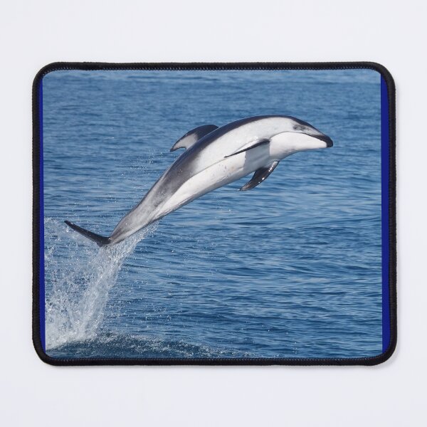 Item preview, High Flying Pacific White-sided Dolphin designed and sold by Whale & Dolphin Wisdom Retreats.