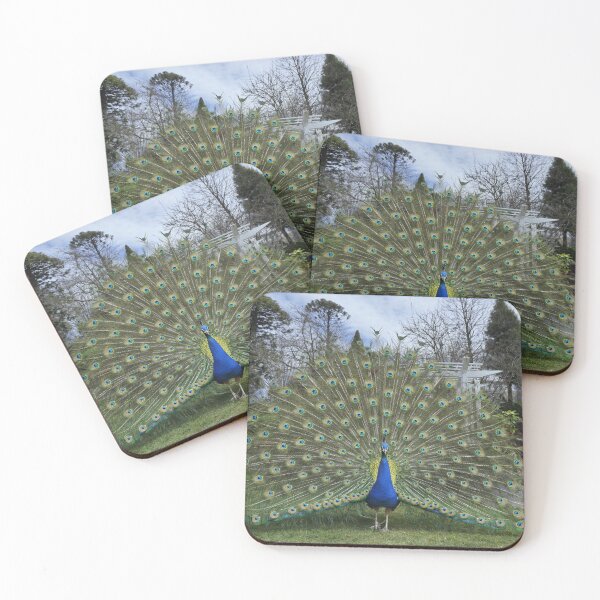 Item preview, A Peacock, in the grounds of a Country Hotel designed and sold by PhotosByG.