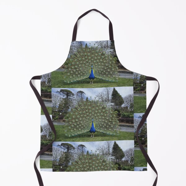Item preview, A Peacock, in the grounds of a Country Hotel designed and sold by PhotosByG.