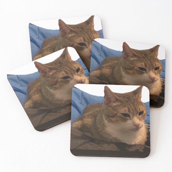 Item preview, Zelda the cat designed and sold by TDLStar.