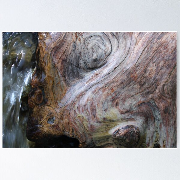 Item preview, bathing trunk designed and sold by yvesrossetti.