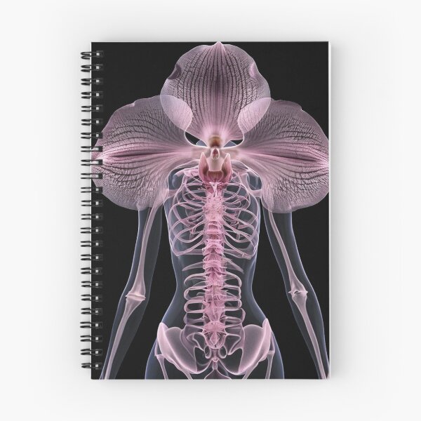 Item preview, Flower Anatomy  designed and sold by Boddahs.