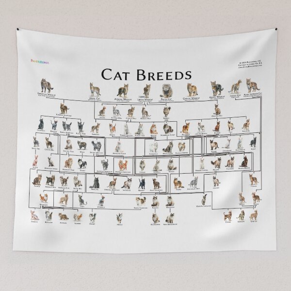 Item preview, Cat Breed Genealogy Poster designed and sold by Studio Pandemonia.
