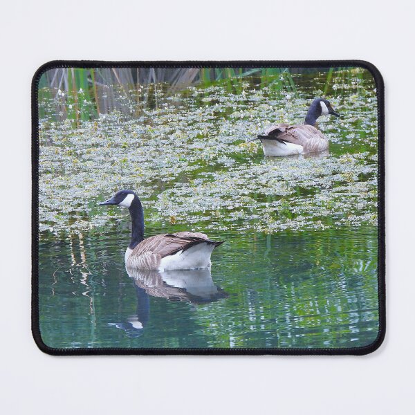 Item preview, Canada geese couple designed and sold by Celestial Festival.