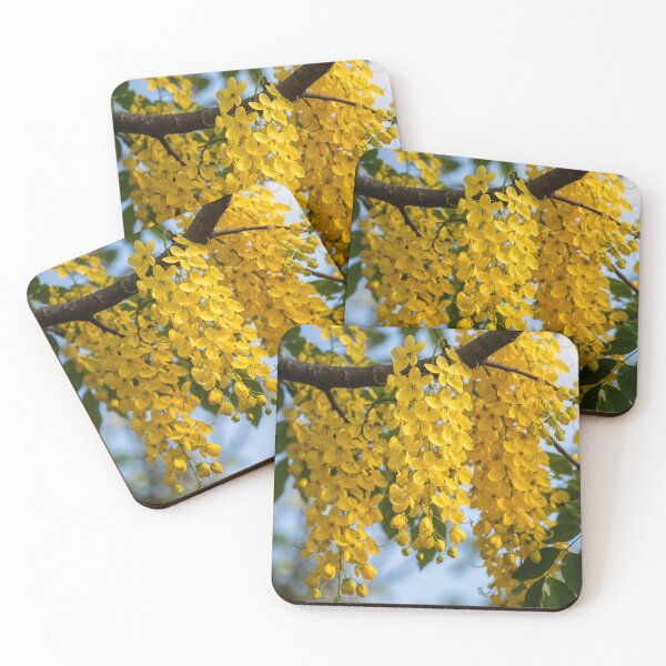 Item preview, Kanikonna in Full Bloom | Golden Shower Tree | Cassia Fistula designed and sold by Mindful Heritage.