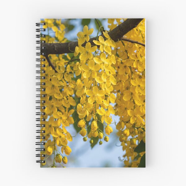 Item preview, Kanikonna in Full Bloom | Golden Shower Tree | Cassia Fistula designed and sold by Mindful Heritage.