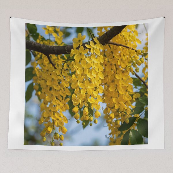 Item preview, Kanikonna in Full Bloom | Golden Shower Tree | Cassia Fistula designed and sold by Mindful Heritage.