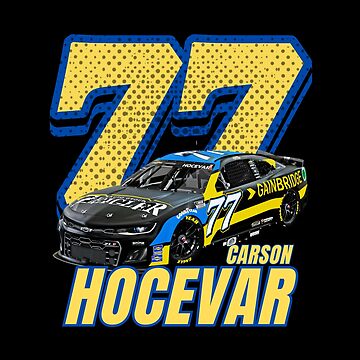 Artwork thumbnail, 77 Carson Hocevar by AoSora