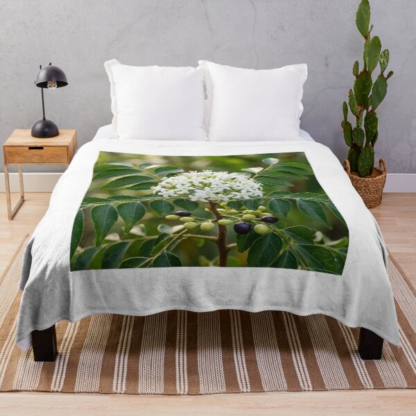 Item preview, Aromatic Blooms: Curry Leaf Flower and Fruit designed and sold by Mindful Heritage.