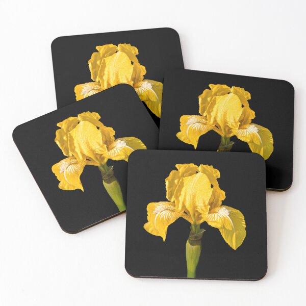 Item preview, Where the Sun Learned to Be Yellow — Golden Iris designed and sold by Susarellis.