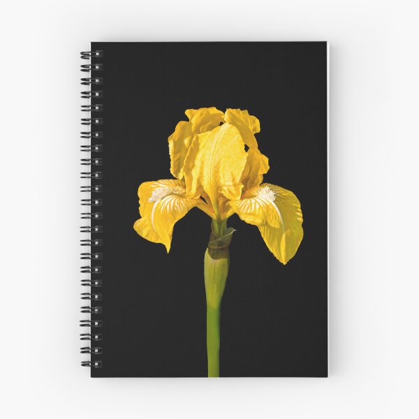 Item preview, Where the Sun Learned to Be Yellow — Golden Iris designed and sold by Susarellis.