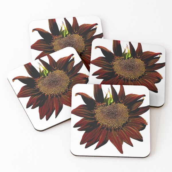 Item preview, Chocolate Sunflower designed and sold by Belly Button Joe .