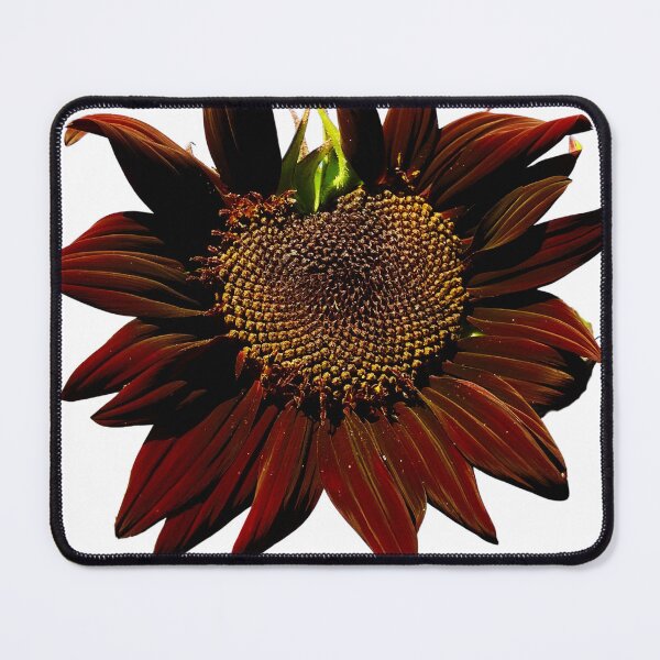 Item preview, Chocolate Sunflower designed and sold by Belly Button Joe .