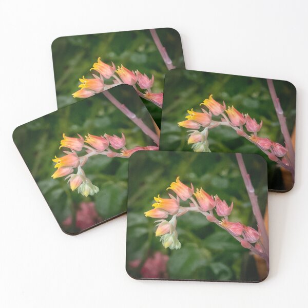 Item preview, Soft Sunrise Succulent Bloom designed and sold by Susarellis.