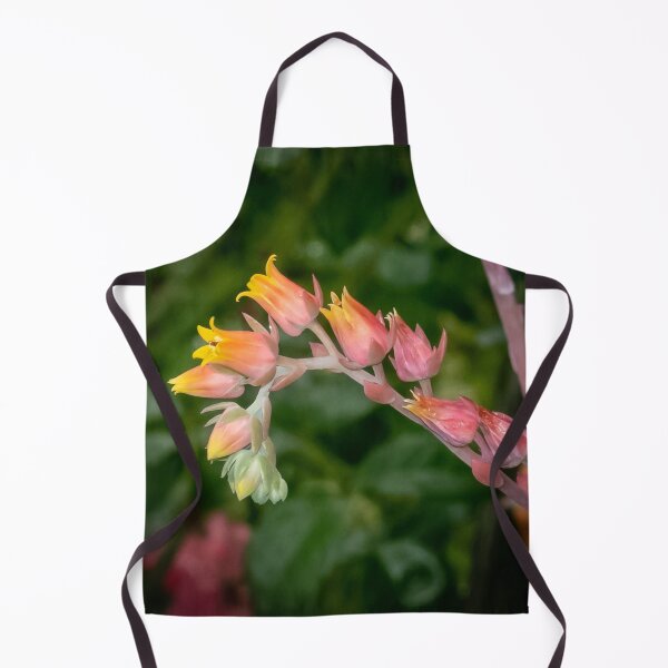 Item preview, Soft Sunrise Succulent Bloom designed and sold by Susarellis.