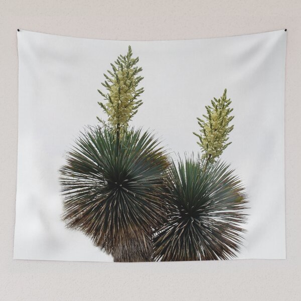 Item preview, Palm Blooms designed and sold by heatherfriedman.