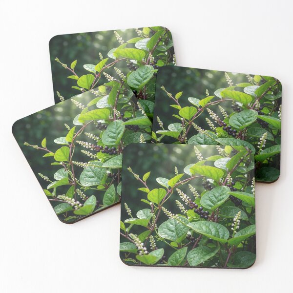 Item preview, Vibrant Malabar Spinach: Lush Greens & Midnight Berries designed and sold by Mindful Heritage.